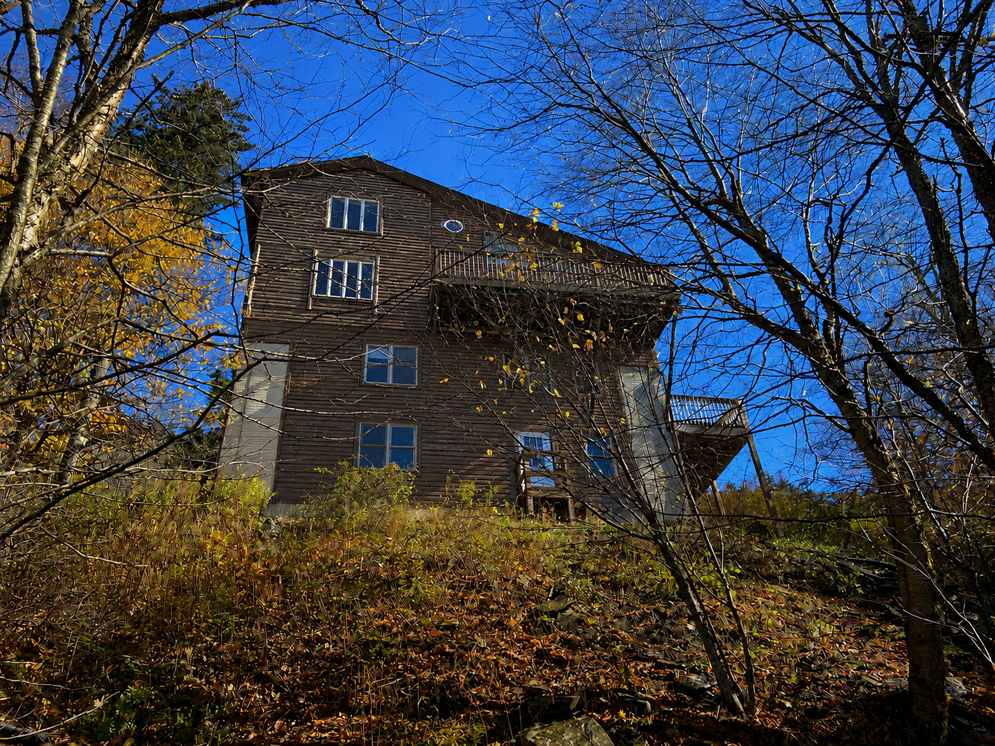 Back of the House