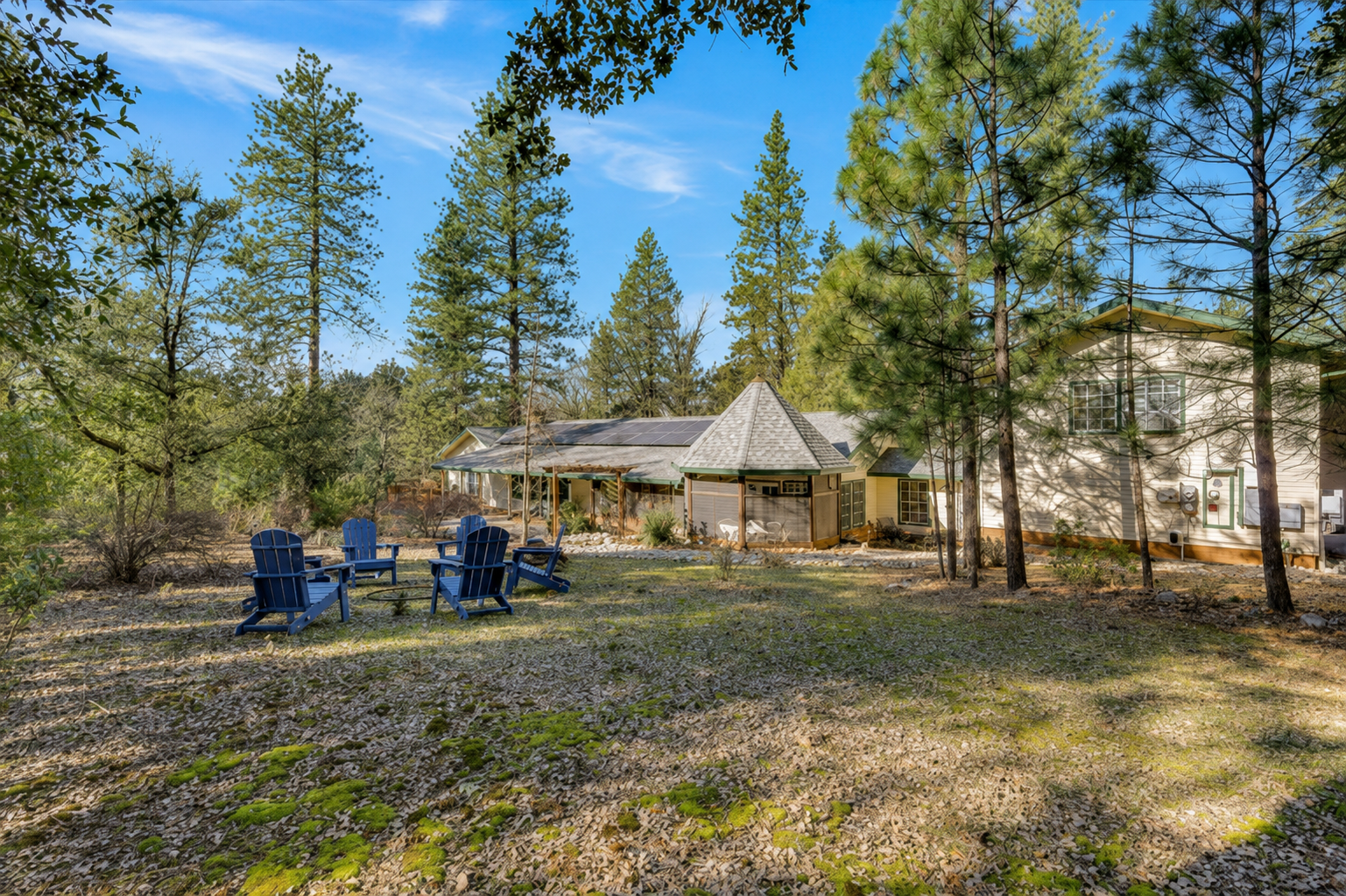 Wooded cabin grounds with outdoor seating, fire pit area, and plenty of open space to relax among the trees.
