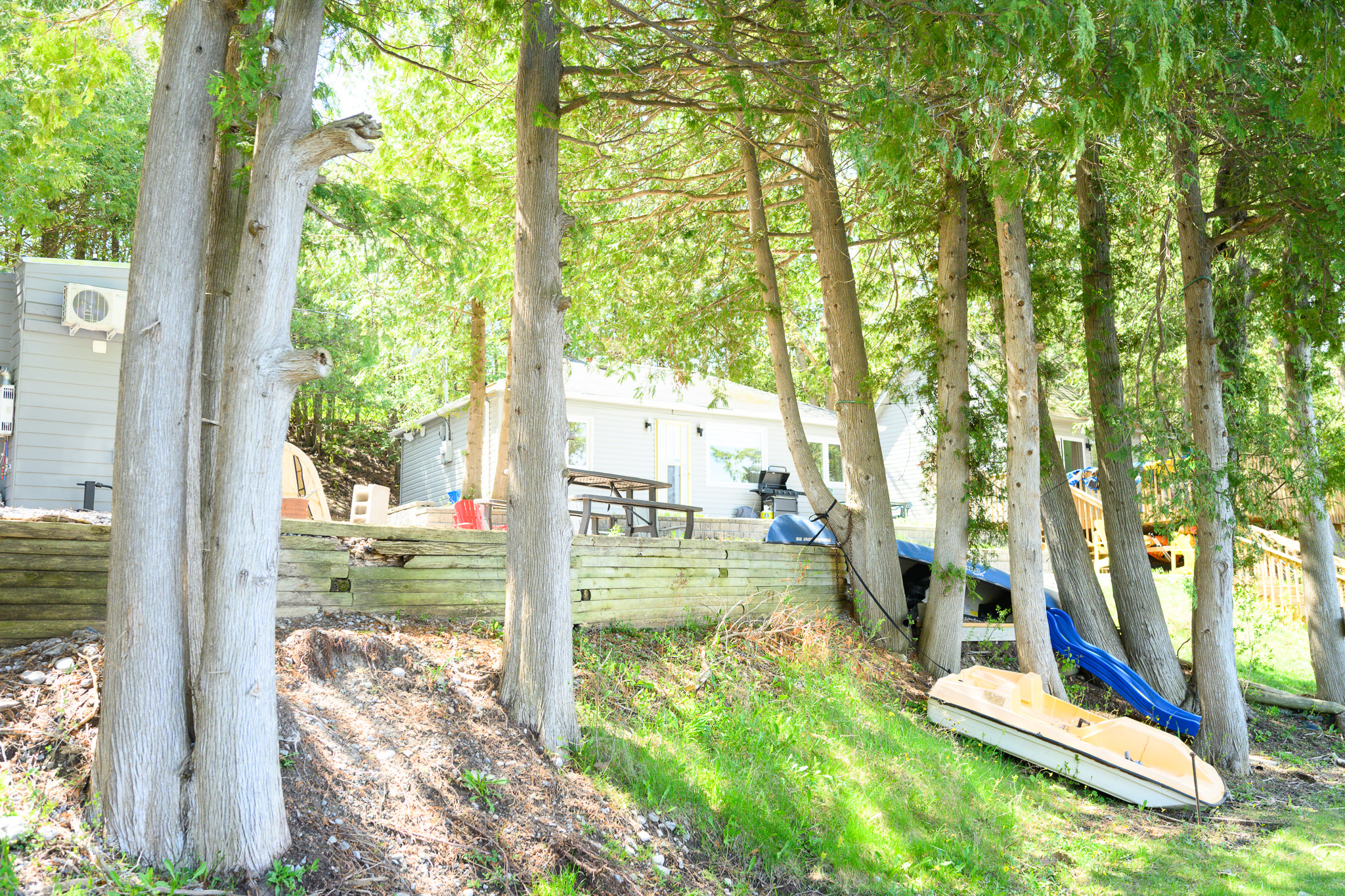 Front Yard