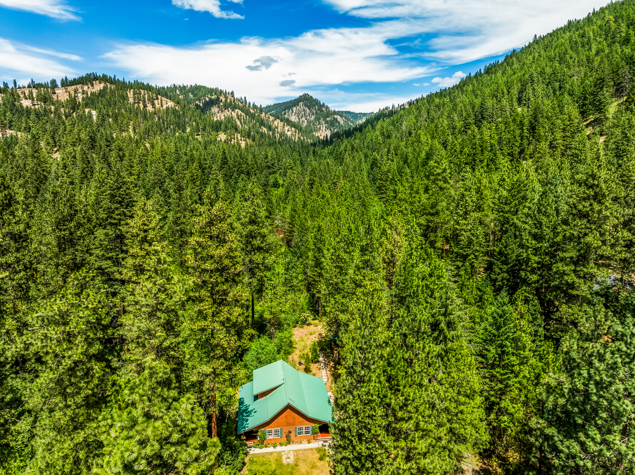 Aerial view looking north surrounded by ponderosa pines