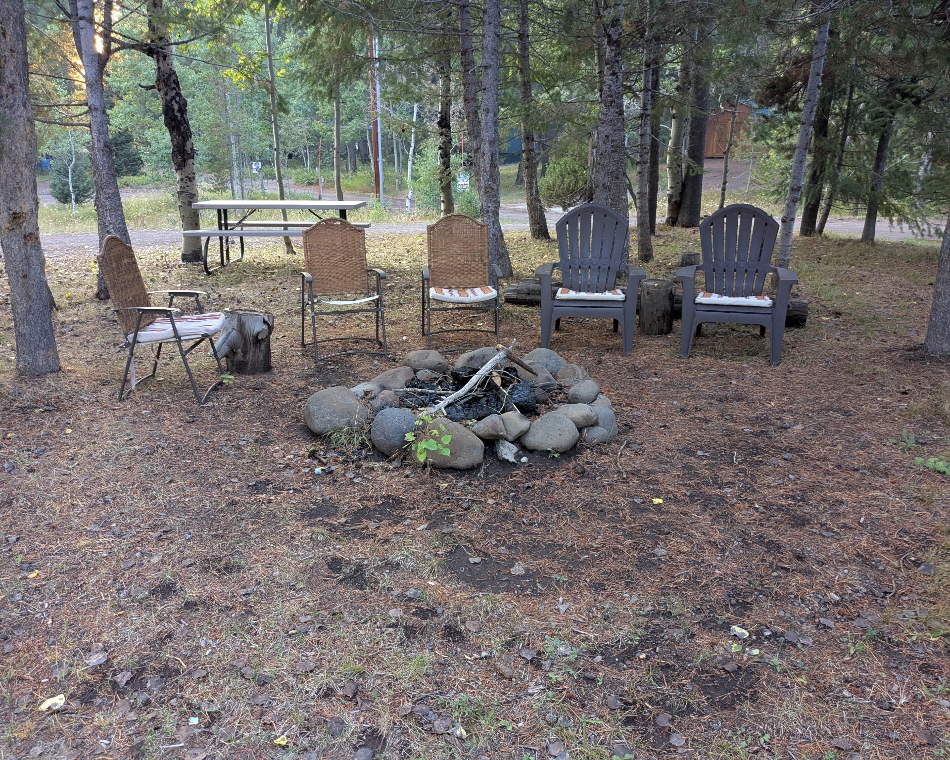 Fire pit area inside horseshoe driveway