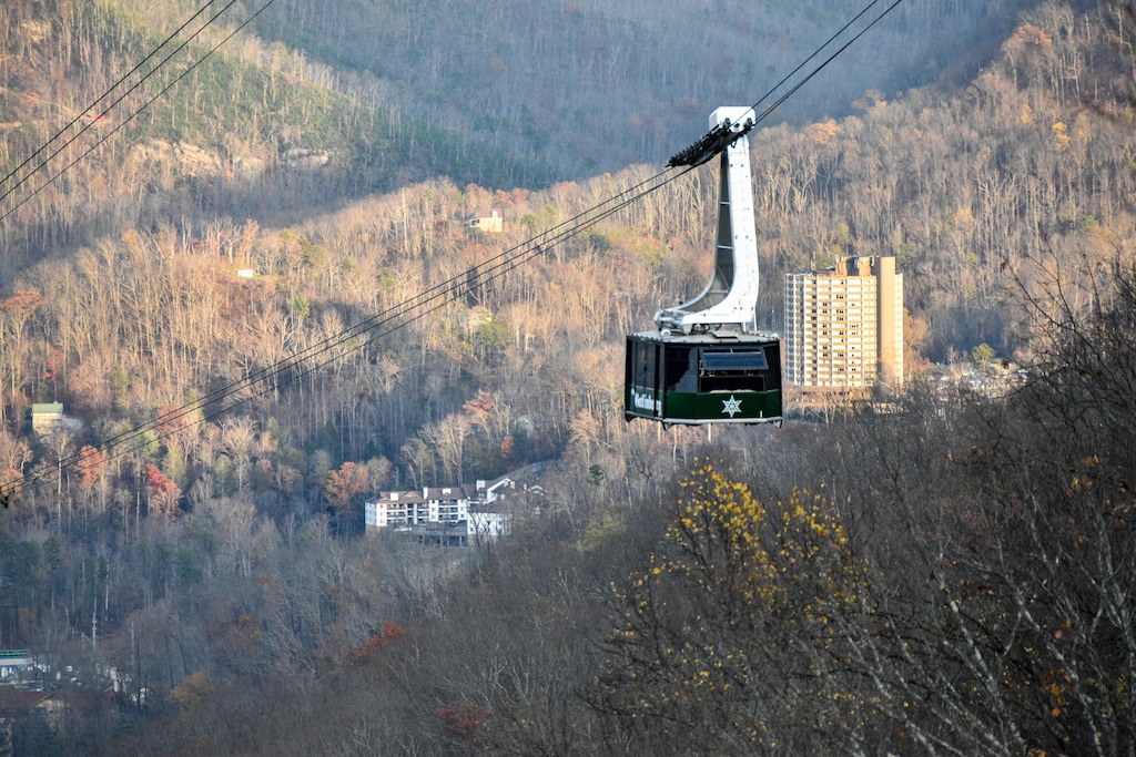 You can see tram riding by the cabin