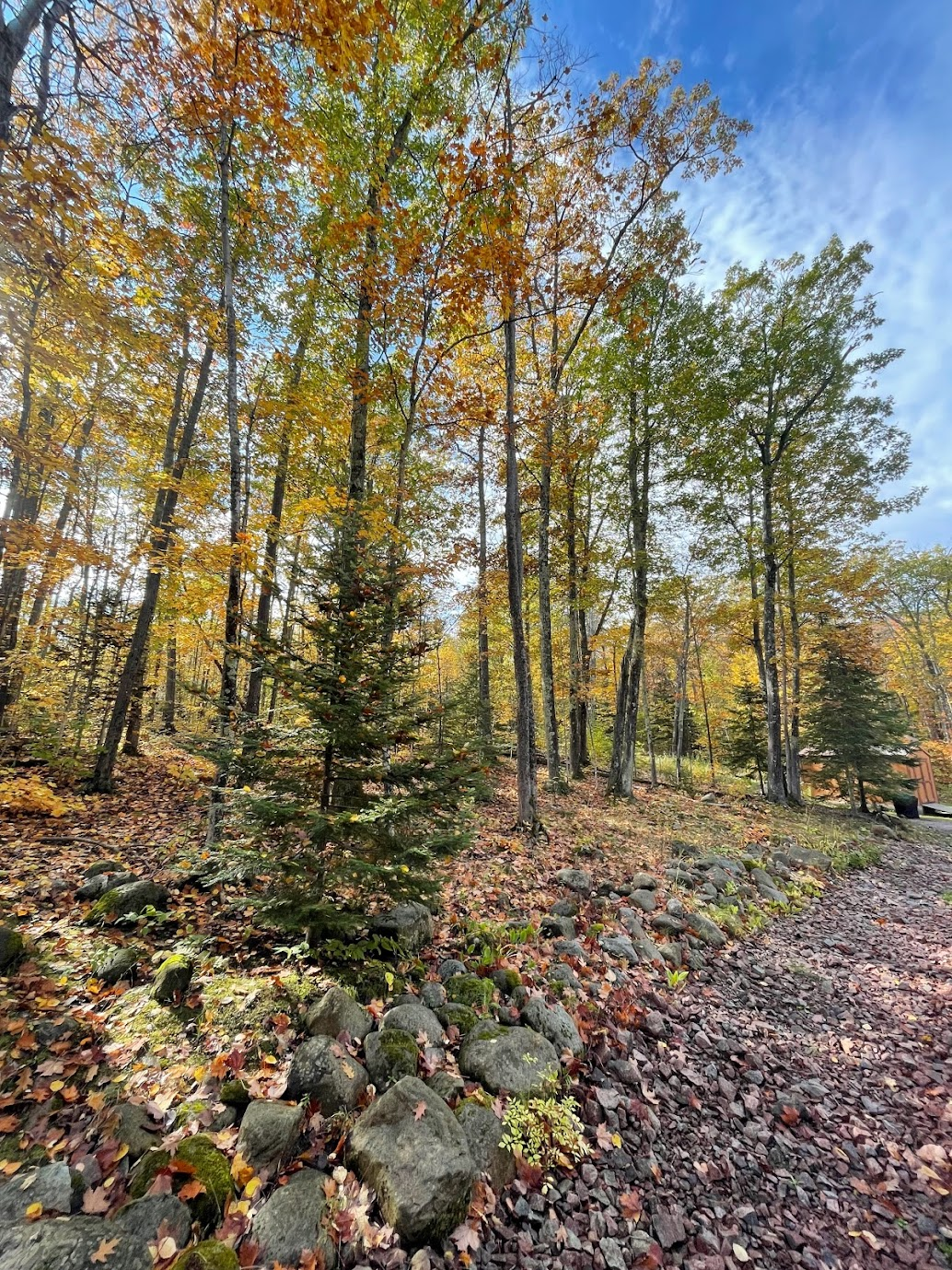 back deck Fall October