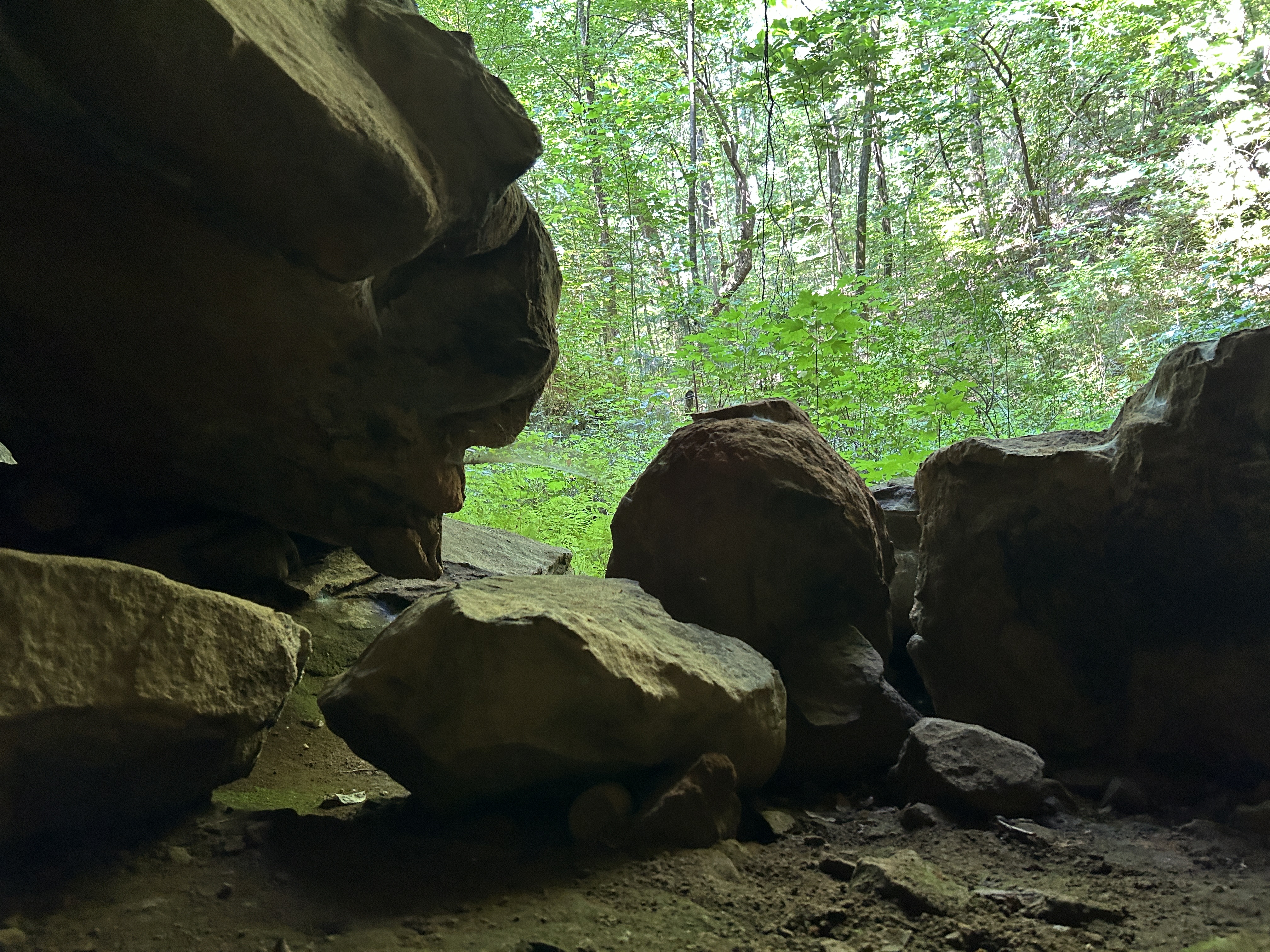 Trails and campfire moments at Fire Tower Camp