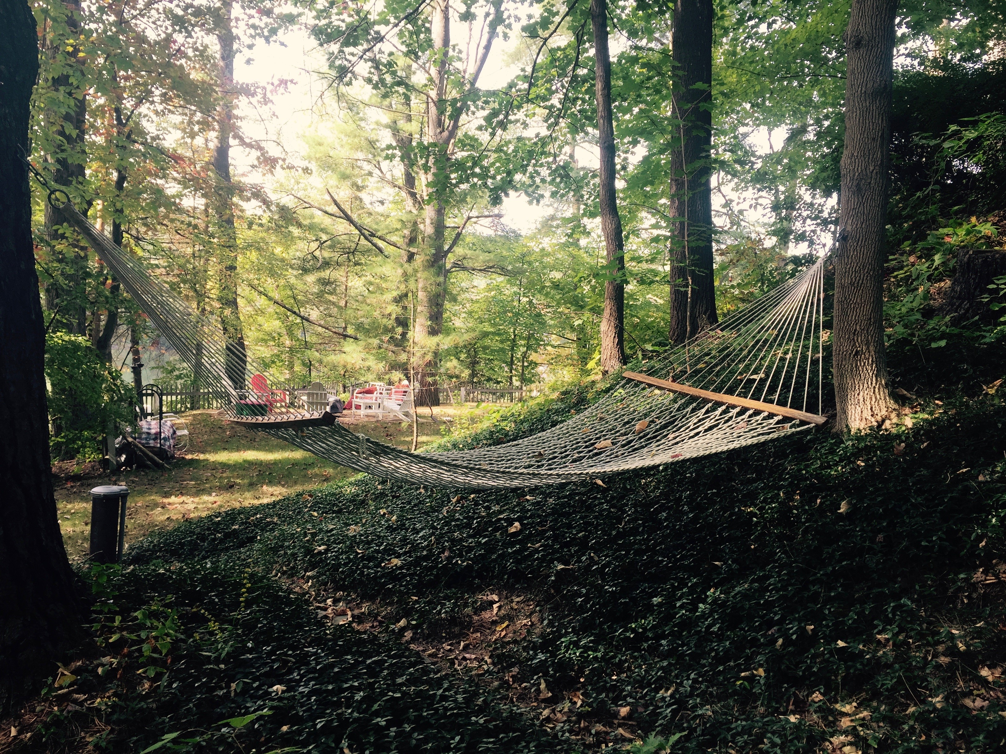 Enjoy time in the hammock in the shade