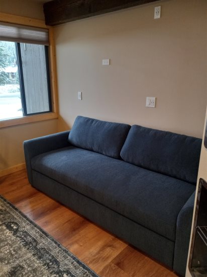 Second sofa sleeper/couch.