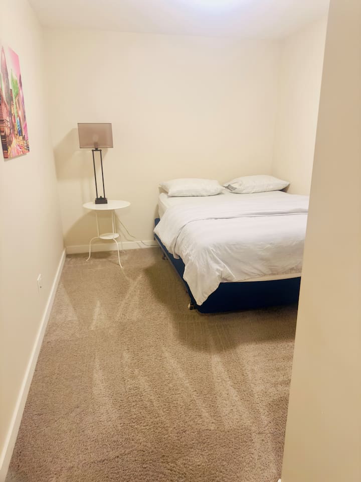 Cozy minimalist bedroom with plush carpet and comfy full bed