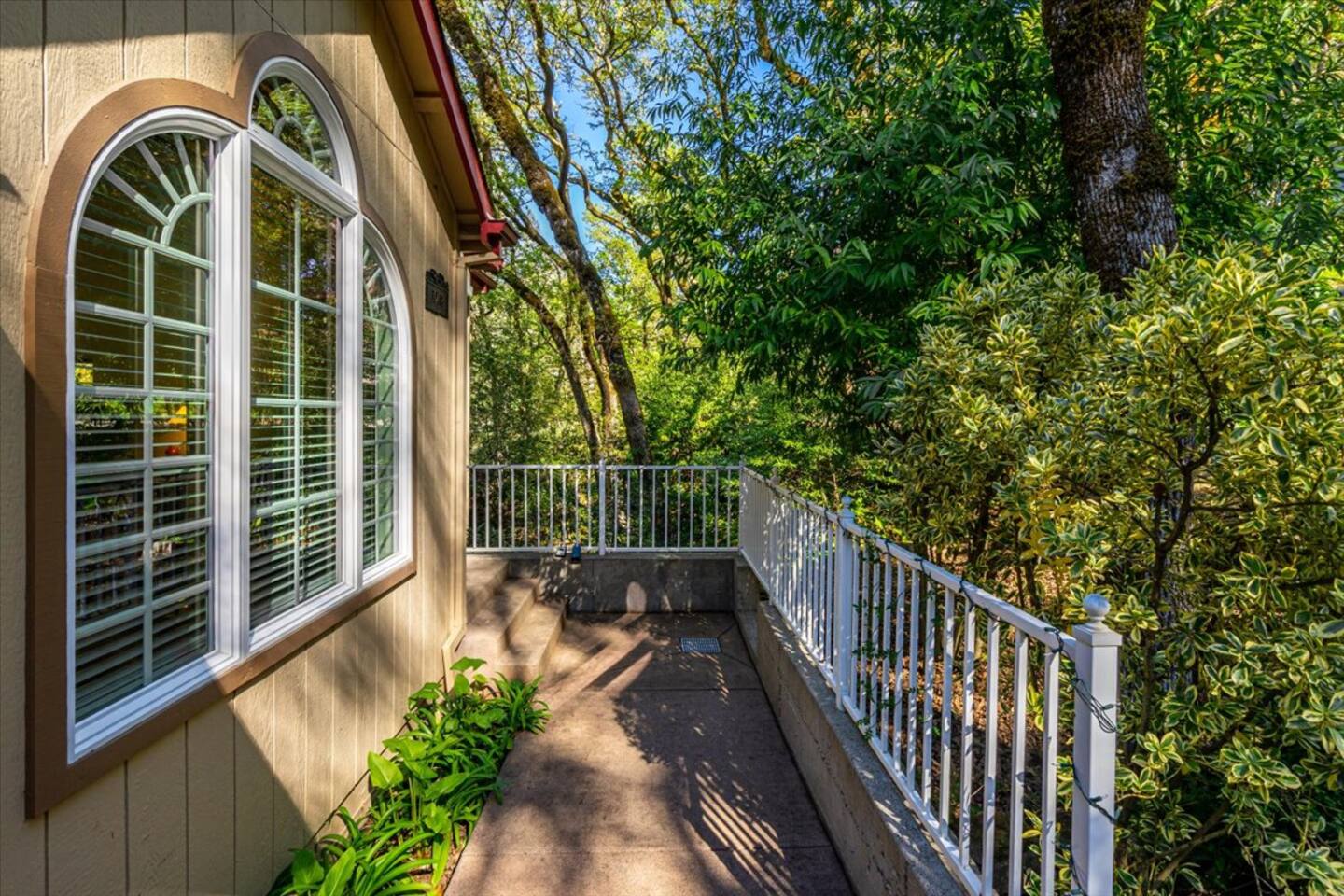 A forested welcome: Follow the path to the front door.