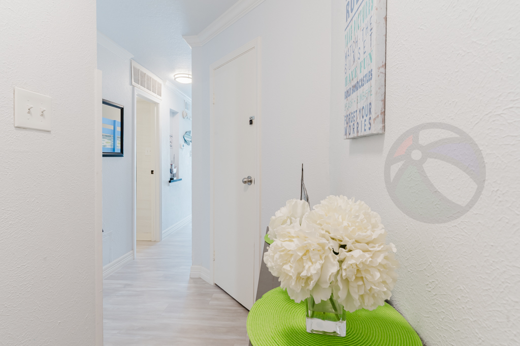 Welcome to Shell-Abration!