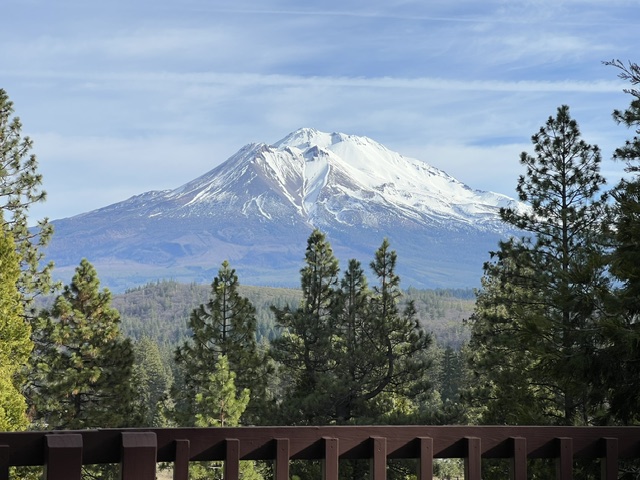 Mt. Shasta Views 