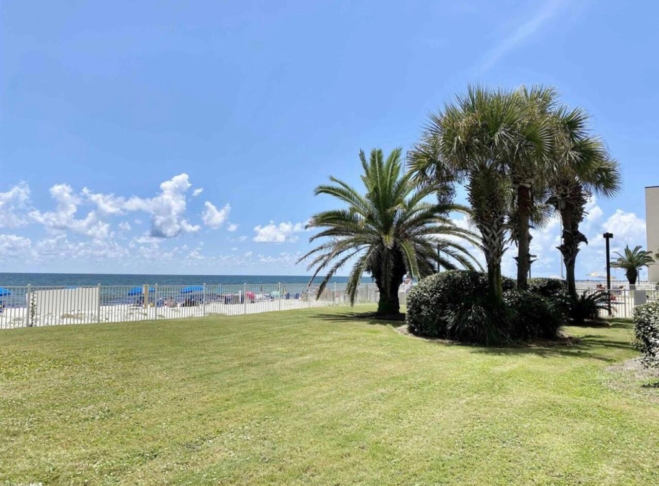 Ground level behind building