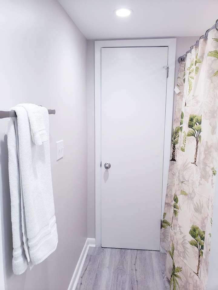 Bathroom entry & shower 