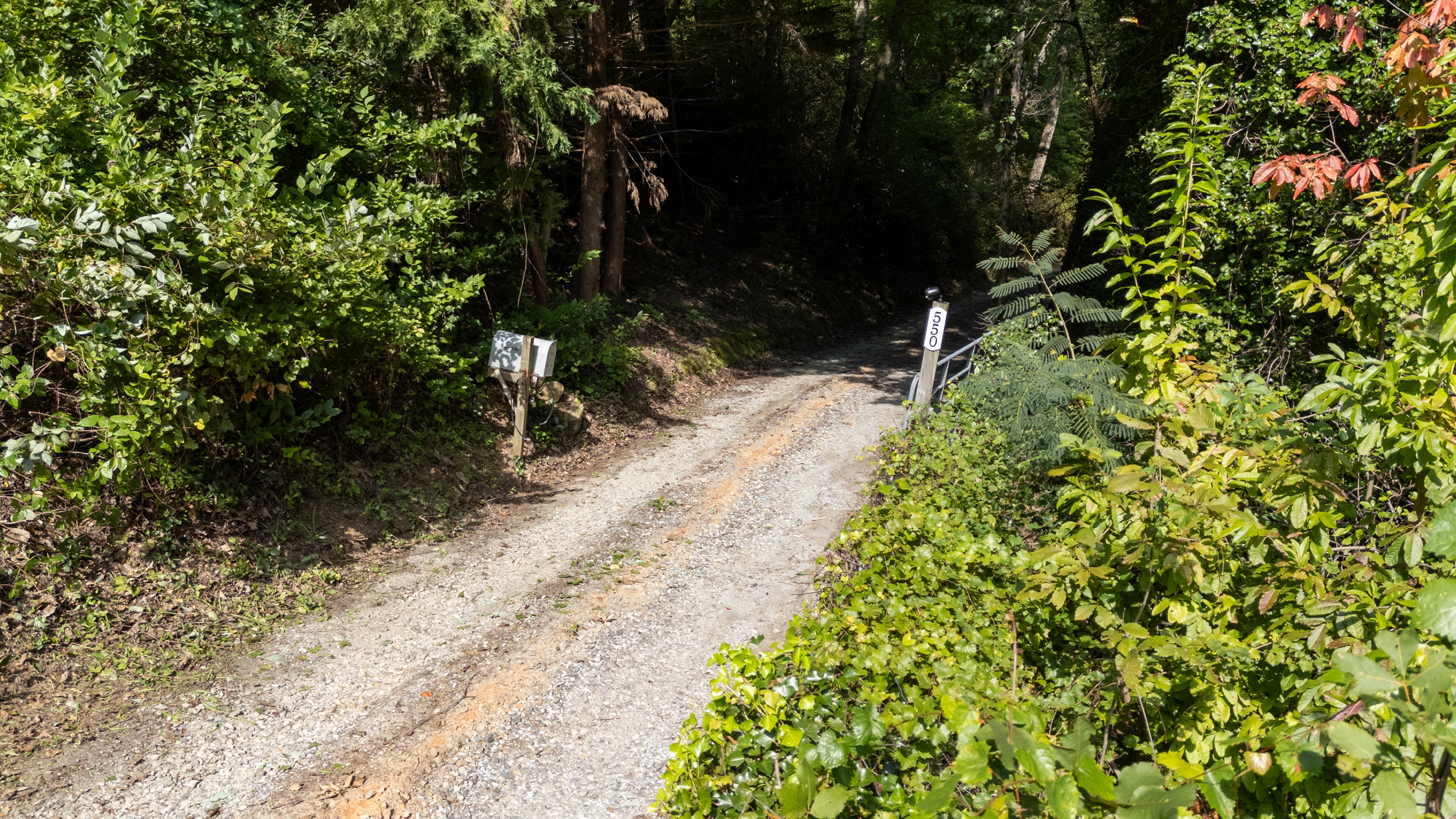 Driveway and entrance to Heart Ridge — easy access for guests.