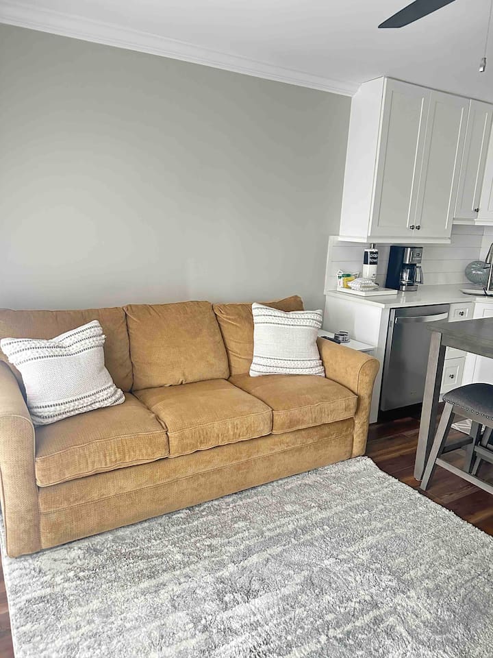 Living room sleeper sofa