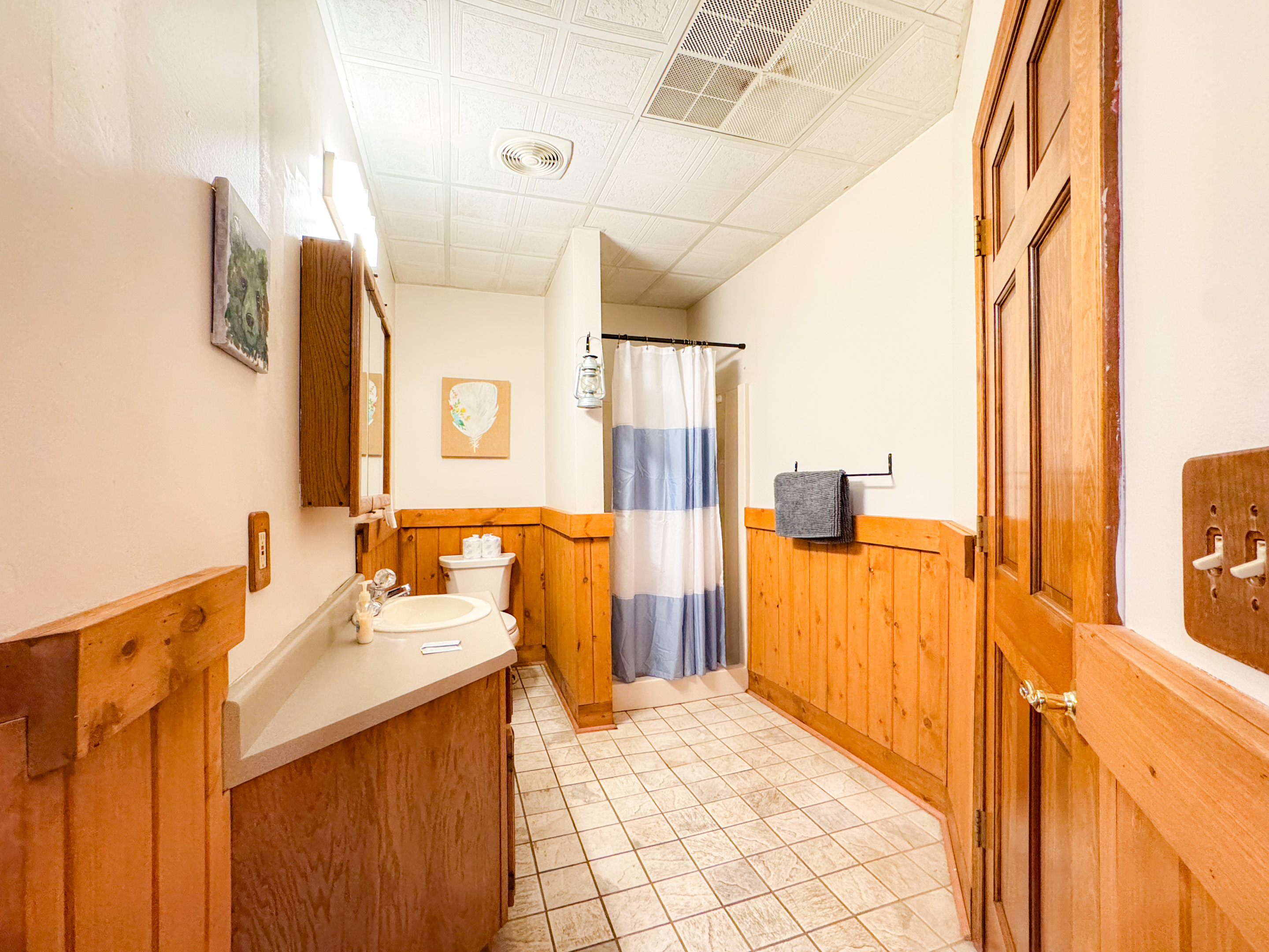 Small bathroom off the living room and Alum Cave themed bedroom