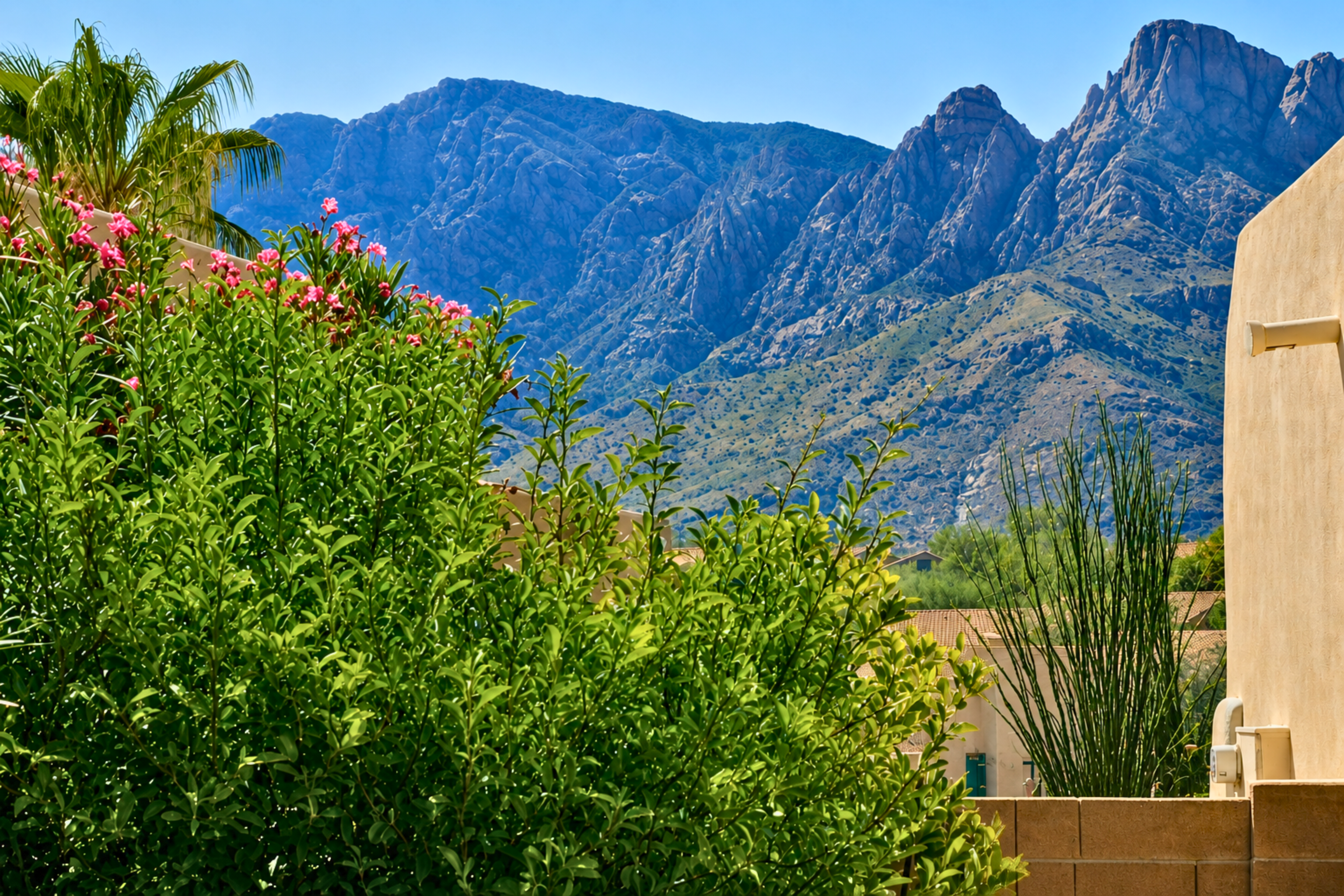 Mountain views from back yard