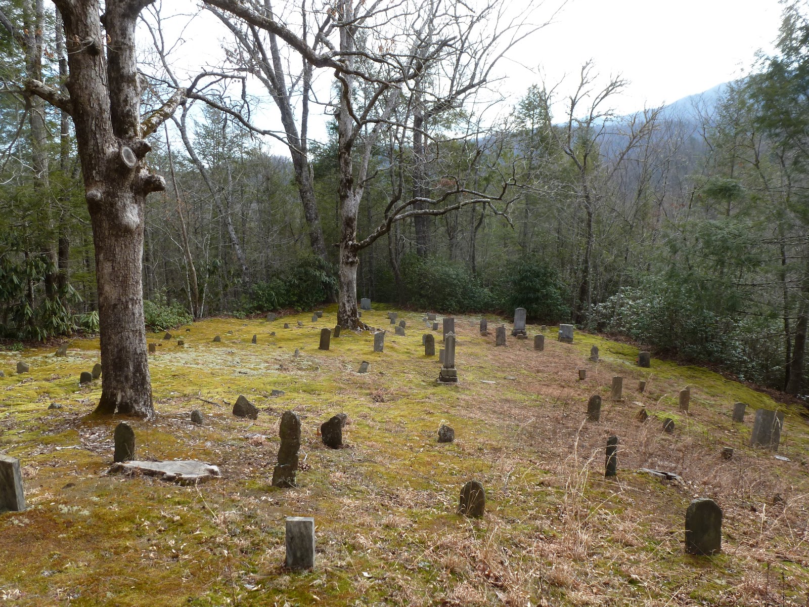 Old Settlers Cemetery Greenbrier GSMNP