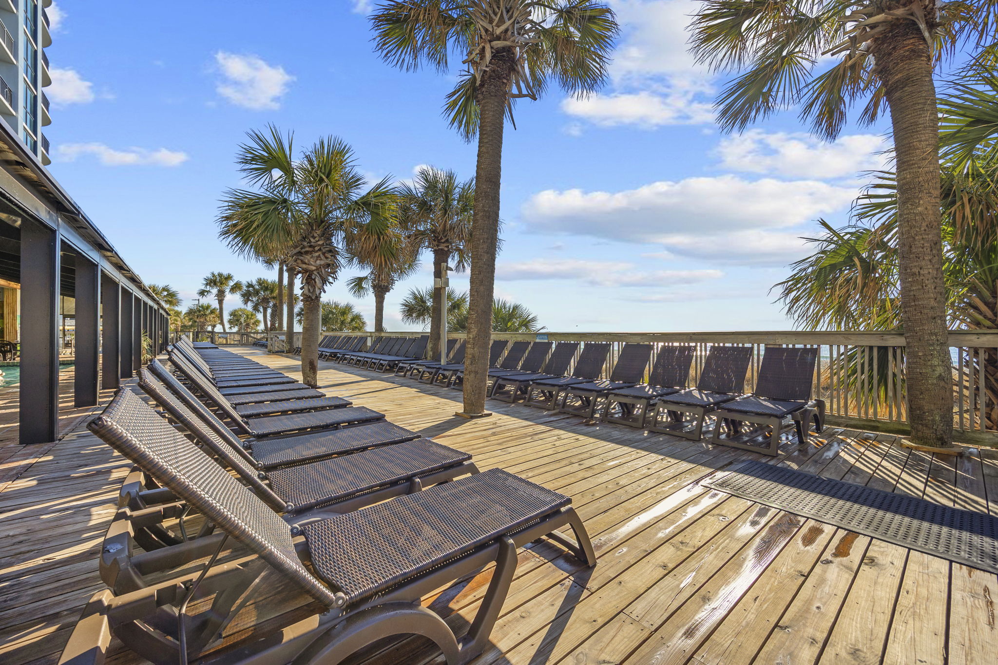 Sun Loungers 