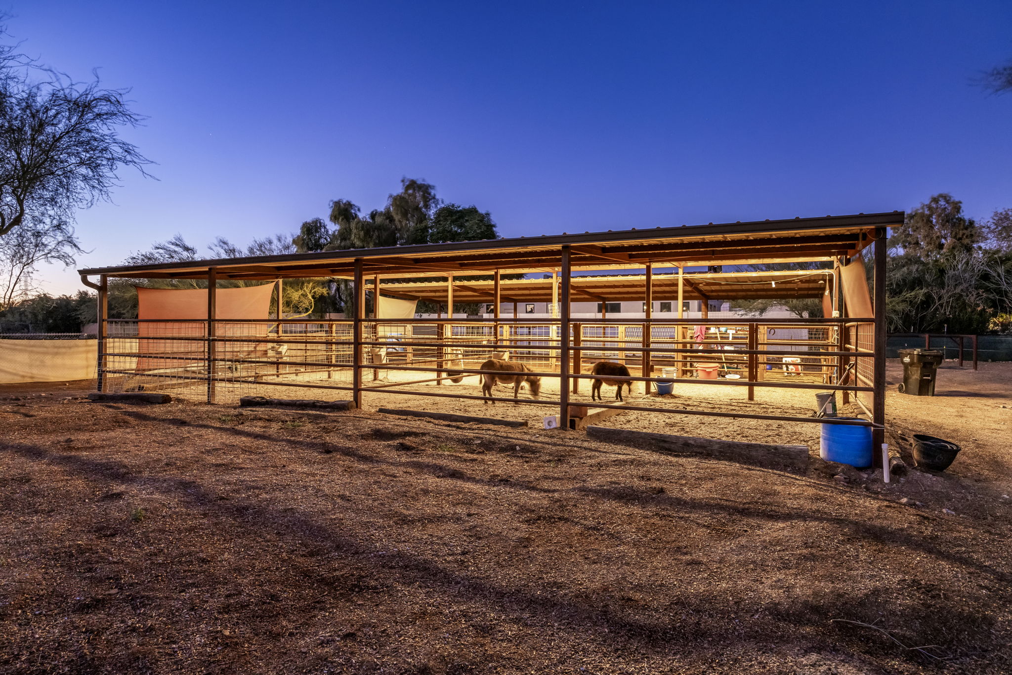 Wanna see some mini donkey's? Ask and we will happy to bring them by!

NOTE: They are not on property, only available on request (and if they are available:)