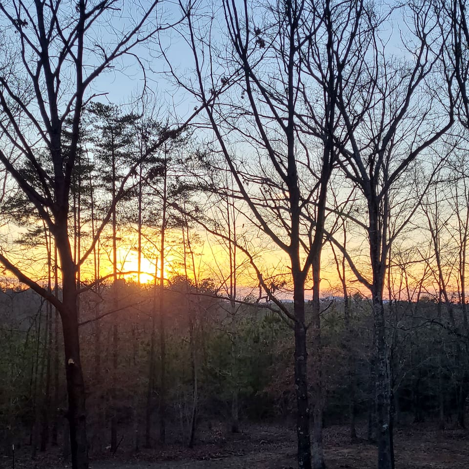 Scenic View: Breathtaking sunsets framed by trees, perfect for evening relaxation!