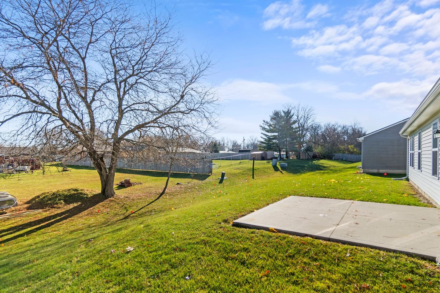 Backyard