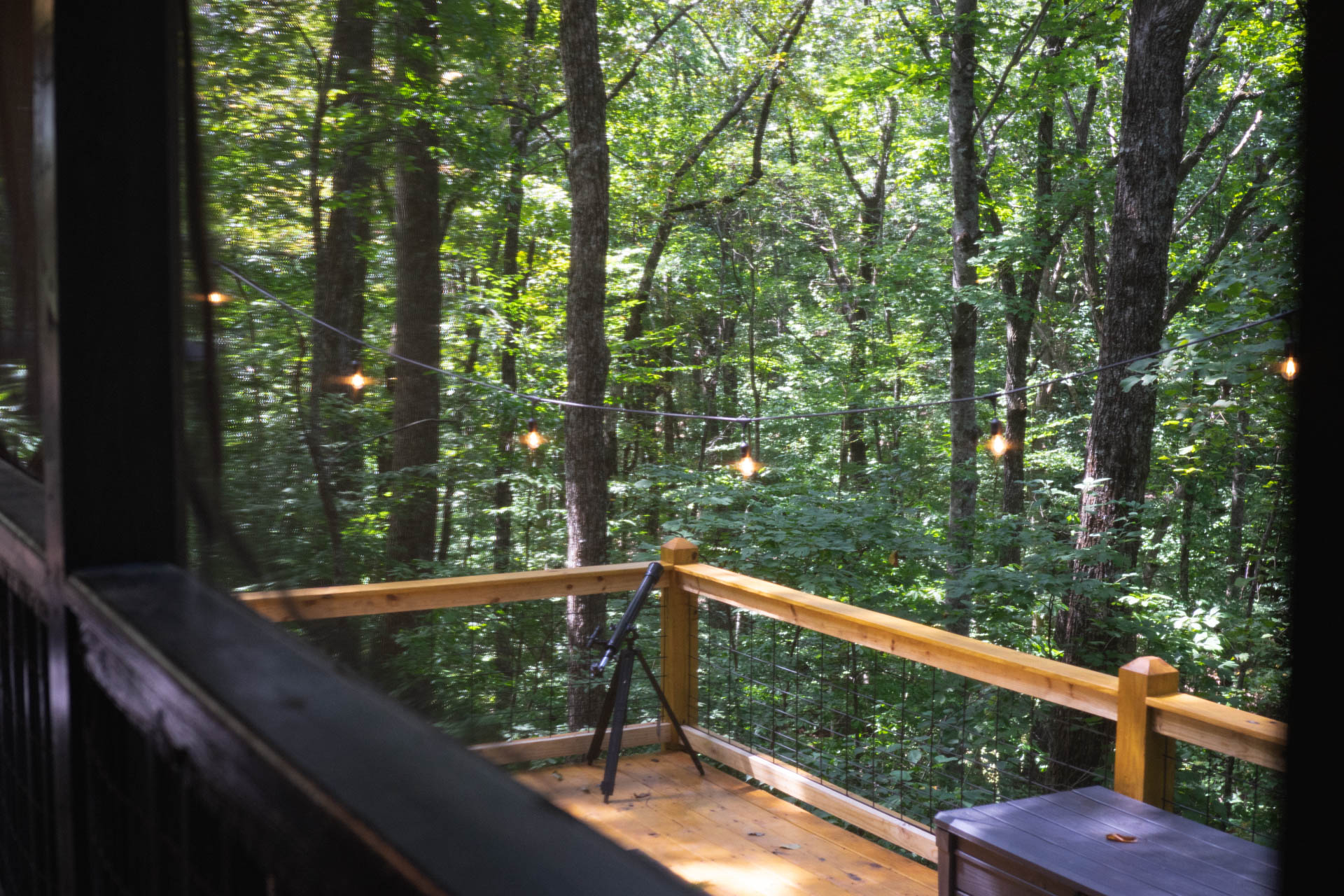 Look out to a unique view amongst tops of the trees