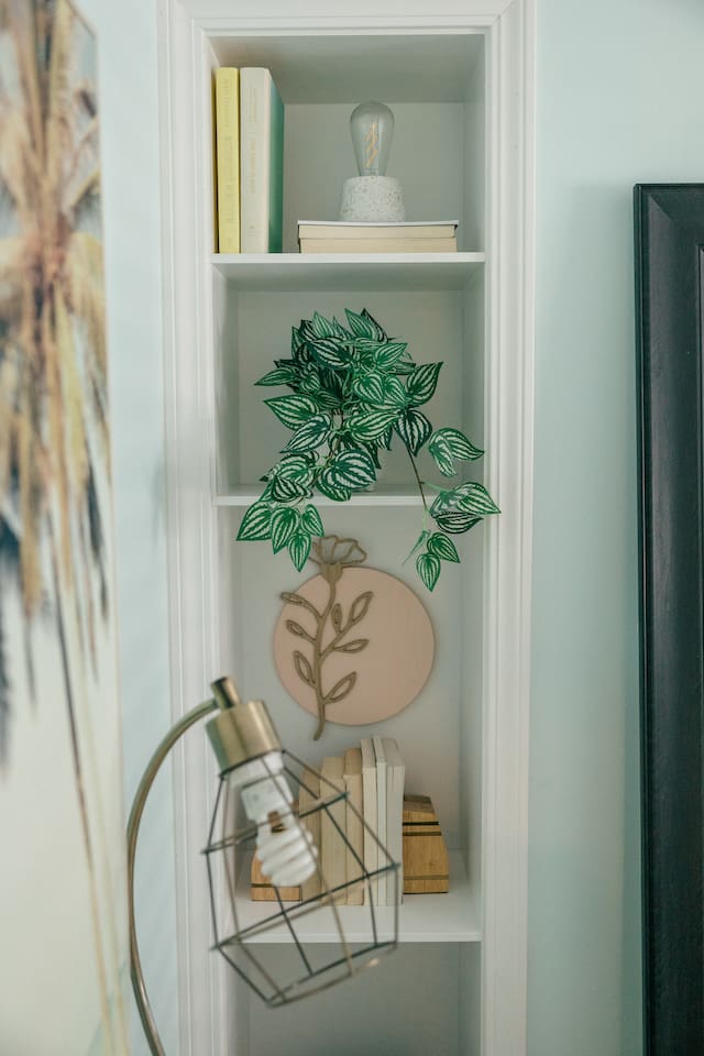 Books for your enjoyment or storage space if you need for work.