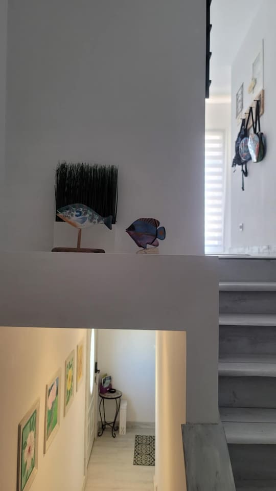 Hallway stairs to the common area where there are extra items to be shared between 2 apartments: additional cookware, laundry facilities, beach equipment, games, emergency supplies, etc.