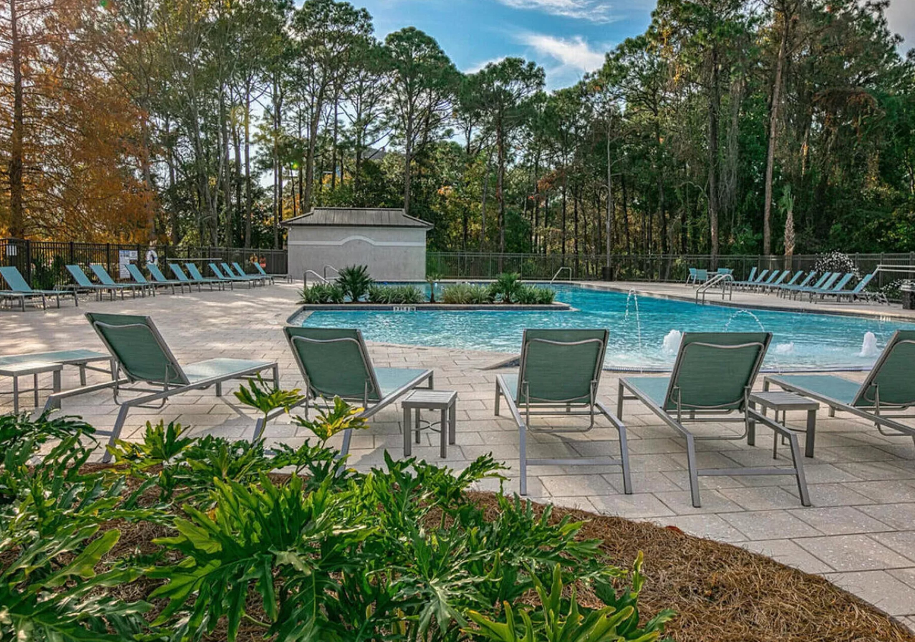 Resort pool area. Spacious terrace surrounding a crystal-clear pool, with lush vegetation and tall trees in the background, creating a tranquil and vacation-like atmosphere.