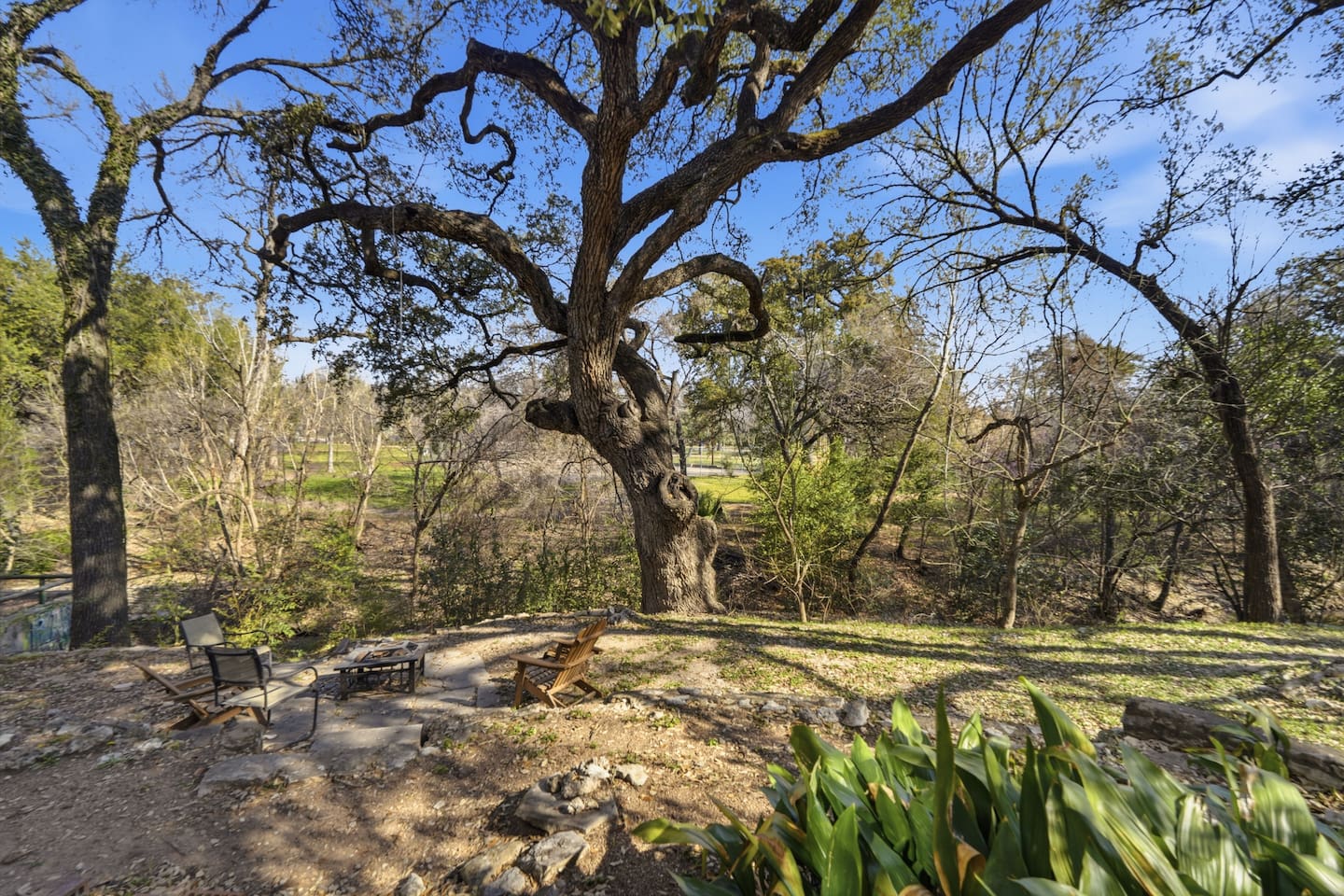 Spacious sit out in Tree Canvas
