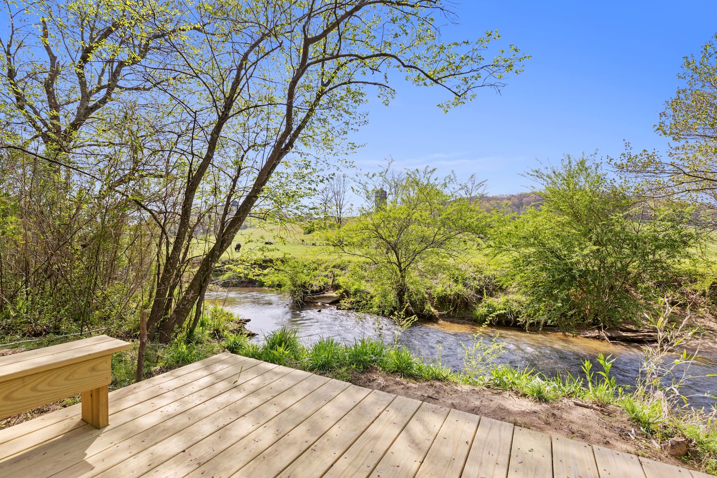 A perfect spot to watch the cows and horses graze, fish or, if you're adventurous, get your feet wet!