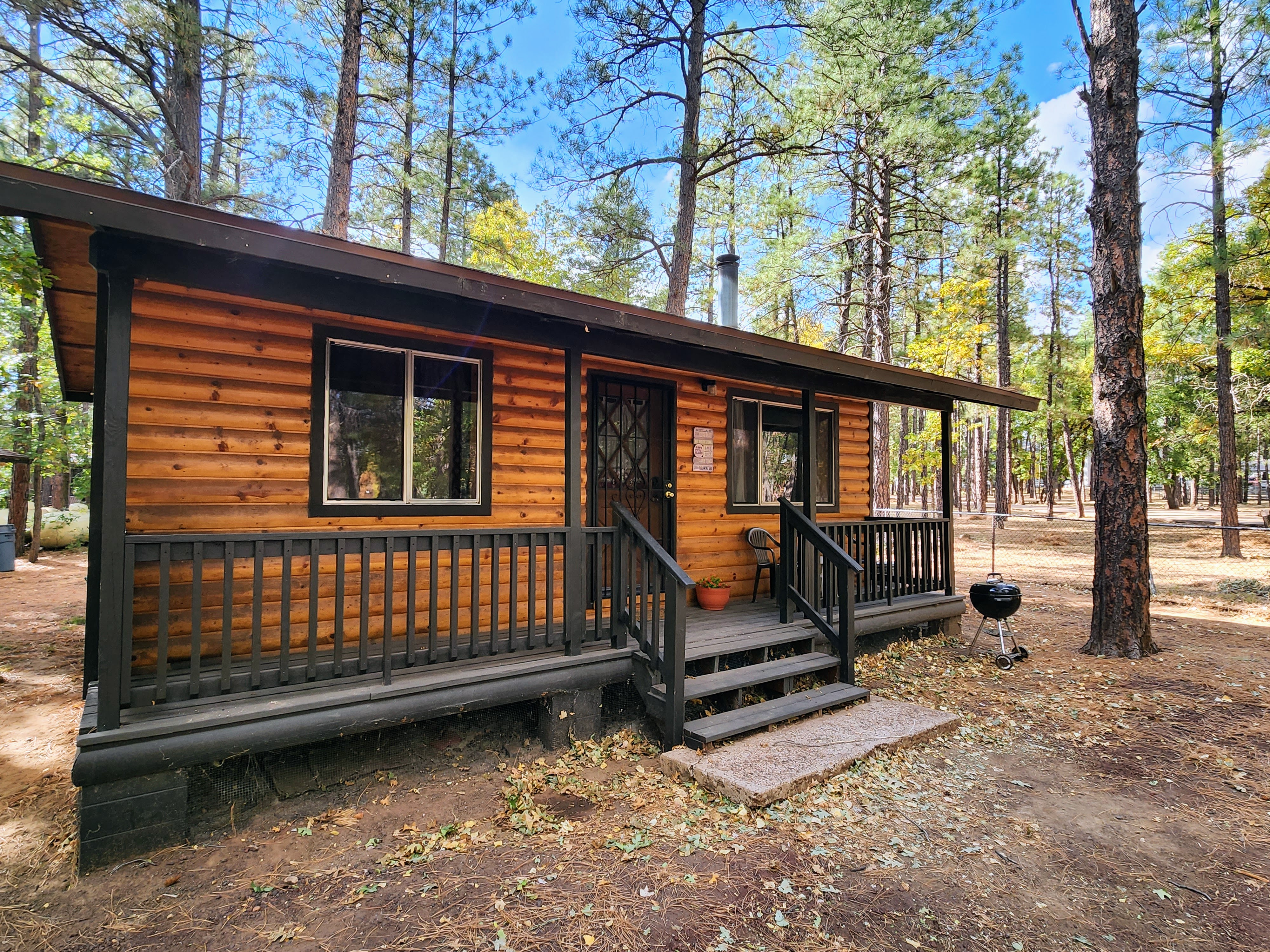 White Fir 1/1 K QSS, SL4 in Lakeside, AZ