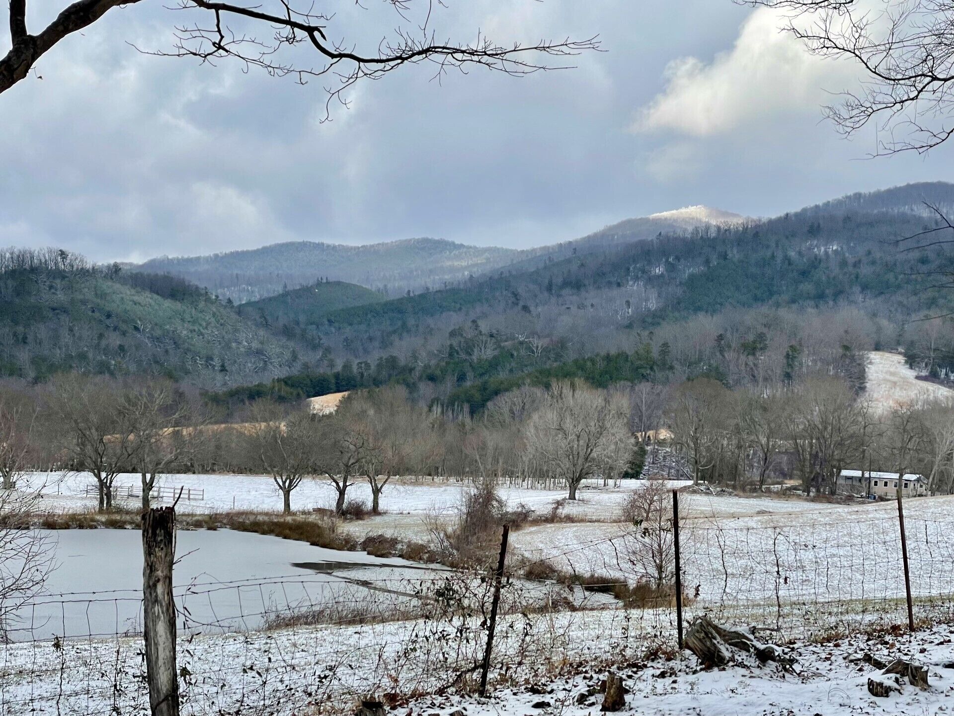 Backyard winter views
