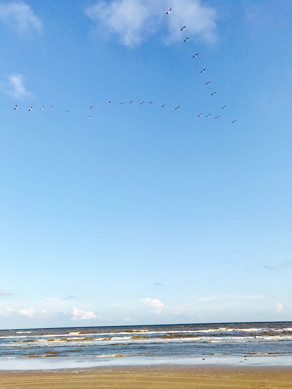 Sargent Beach! Take a walk or a drive! Great shells and fishing!