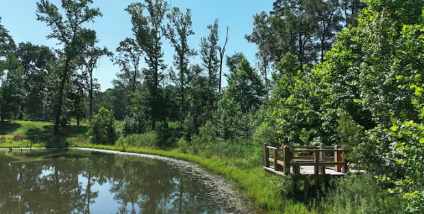 Peaceful pond views surrounded by nature