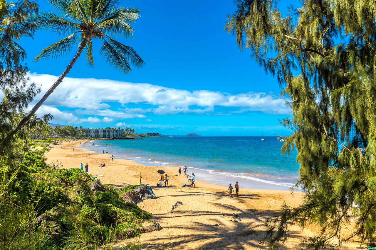 Stroll from Kamaole 3 All the Way to Charley Young Beach