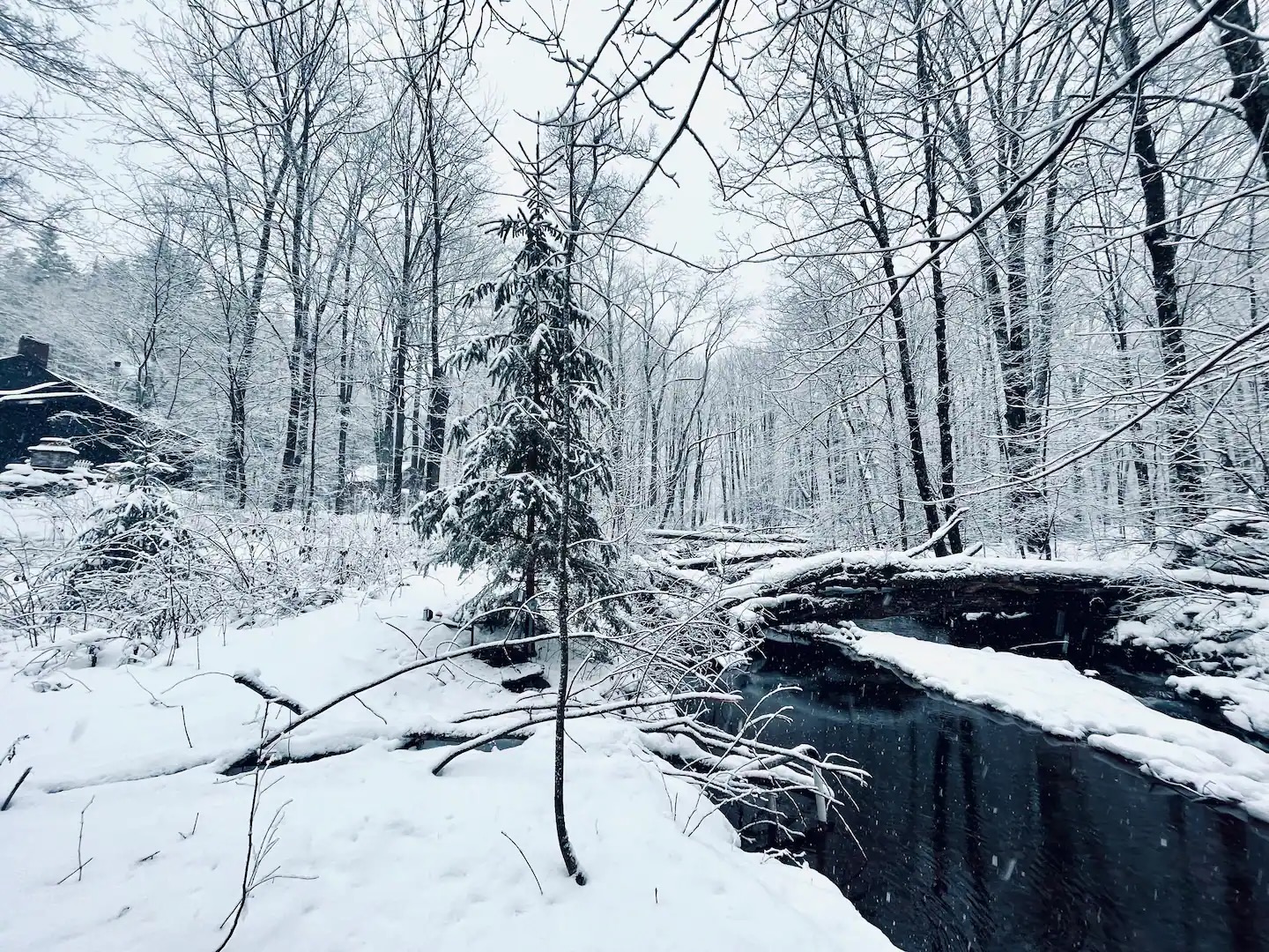 Hunter Brook in full winter glory on south border of  Spruceton Hollow.