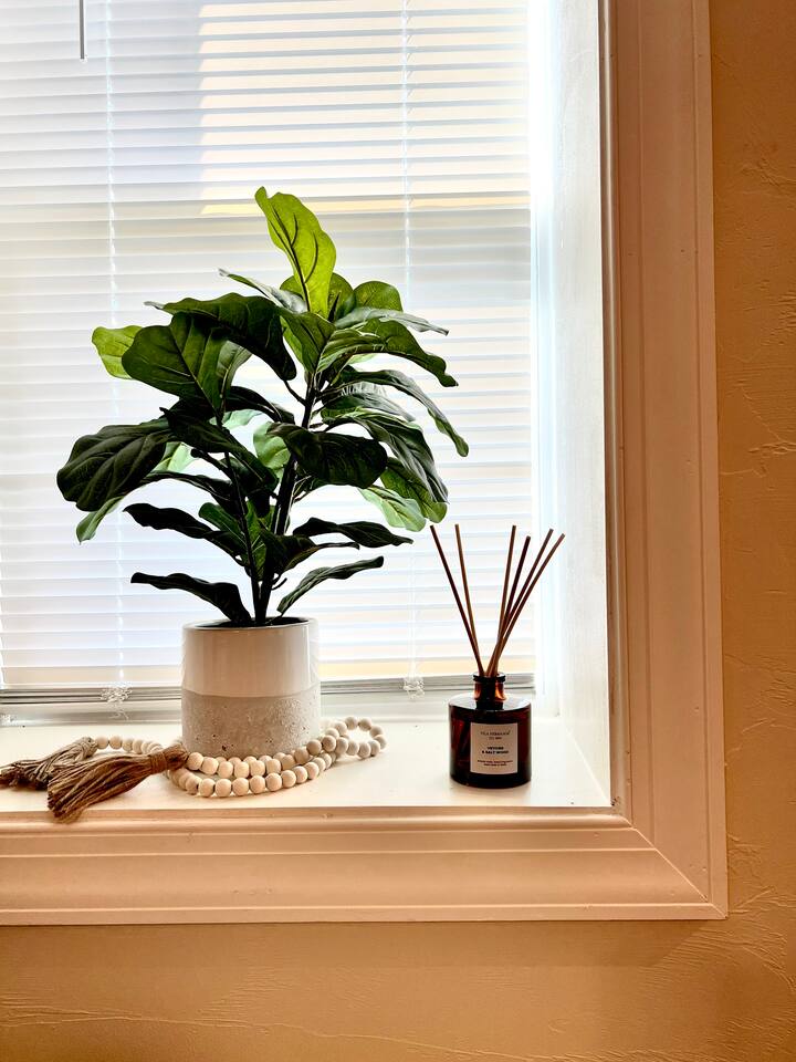 Bright window with a charming artificial plant, adding a touch of greenery to the space.