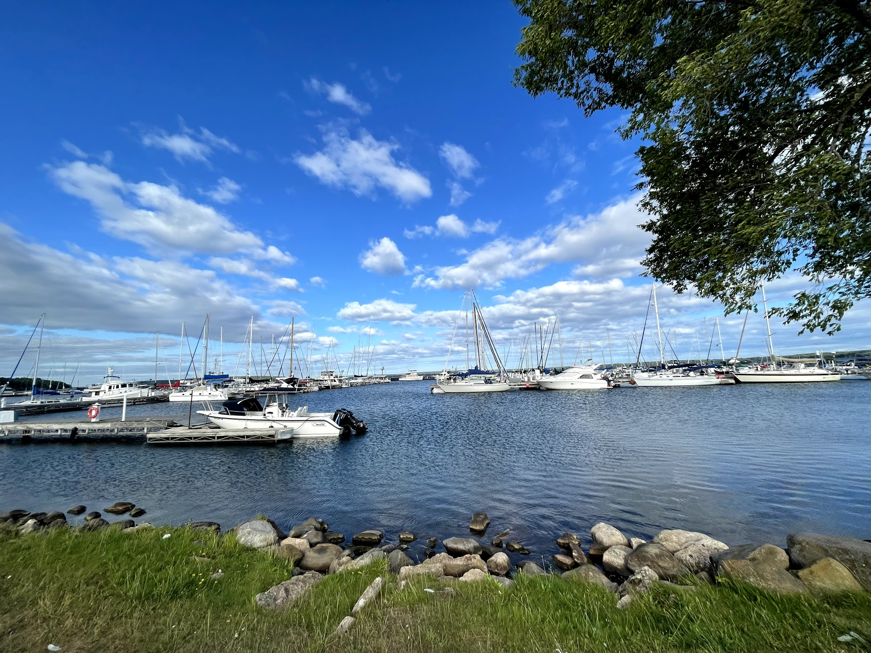 Bayfield Marina in the summer