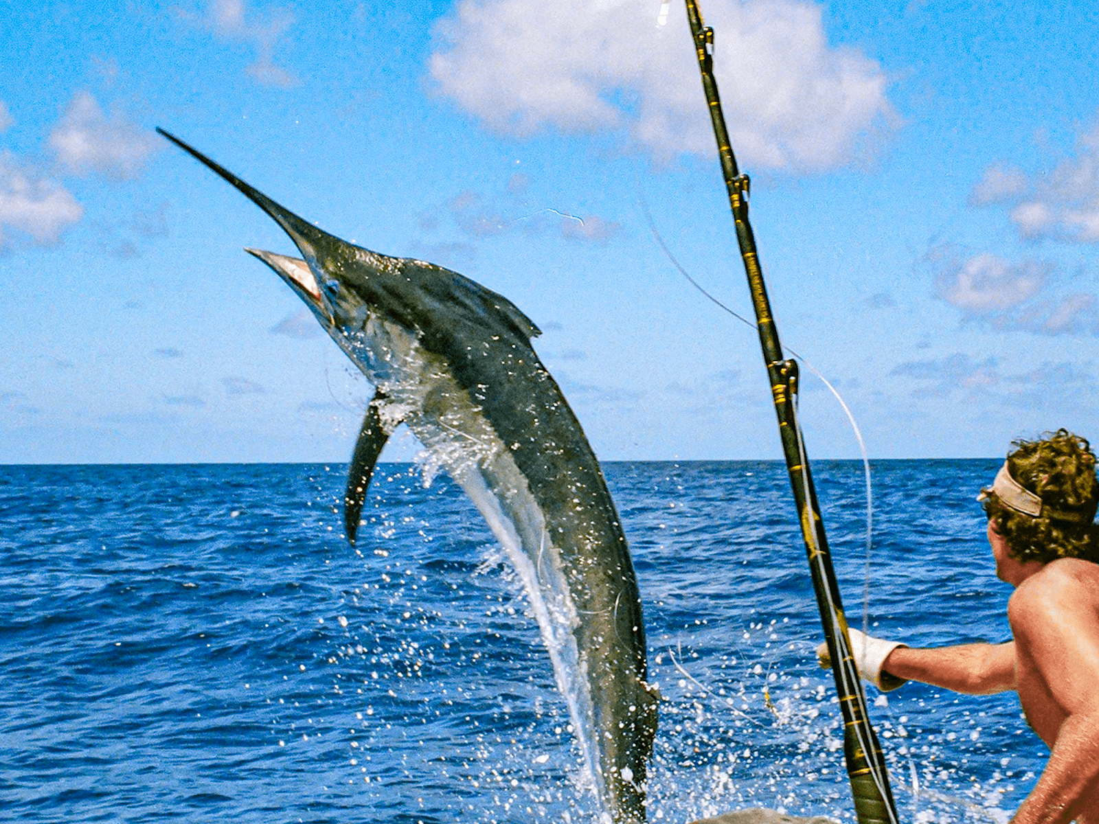 Sport Fishsin from Los Sueños Marina