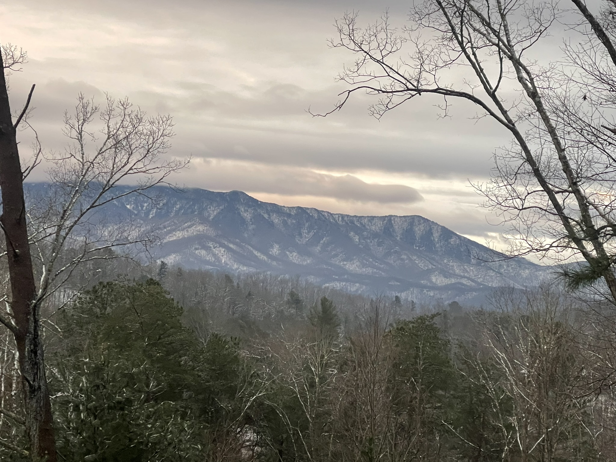 There's something magical about snow in the mountains! Come in the winter and see for yourself.