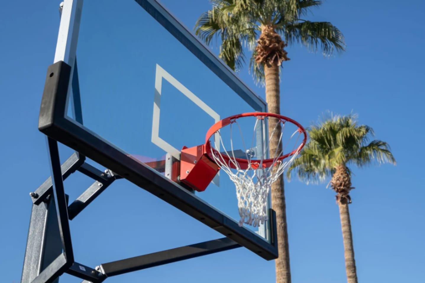 A regulation hoop framed by palm trees adds a little friendly competition to any backyard hangout.
