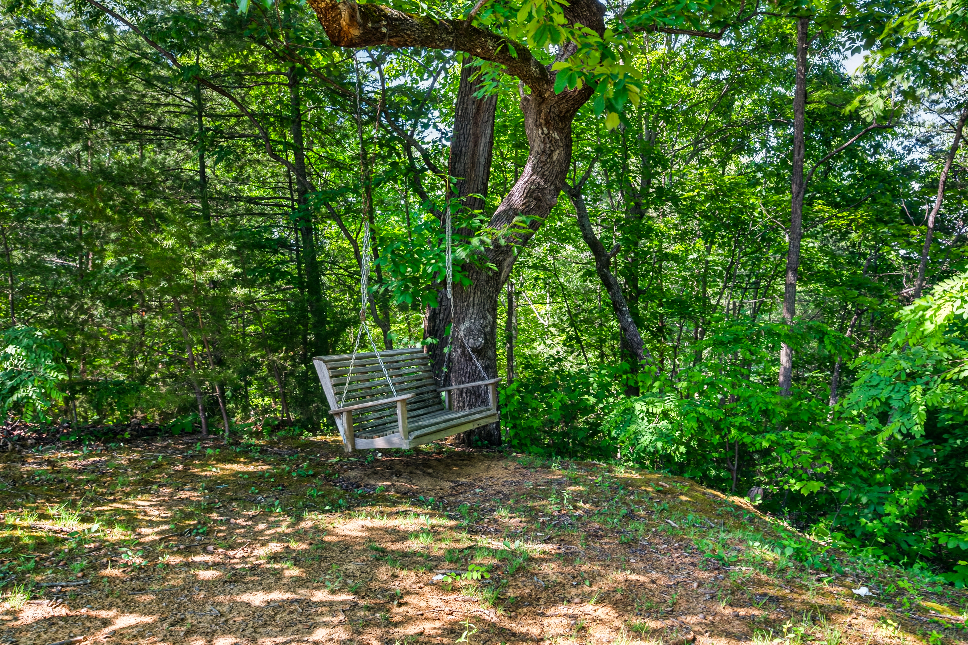 Swing in the peaceful yard