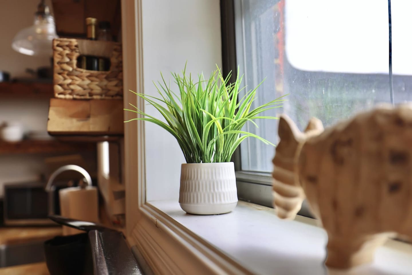 Kitchen Window.