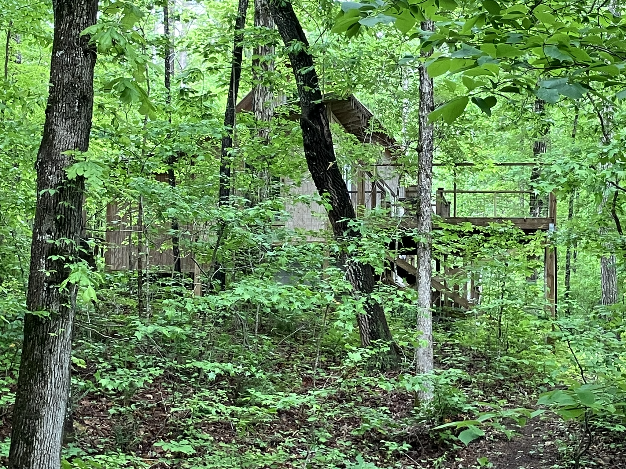 From just behind the cabin.