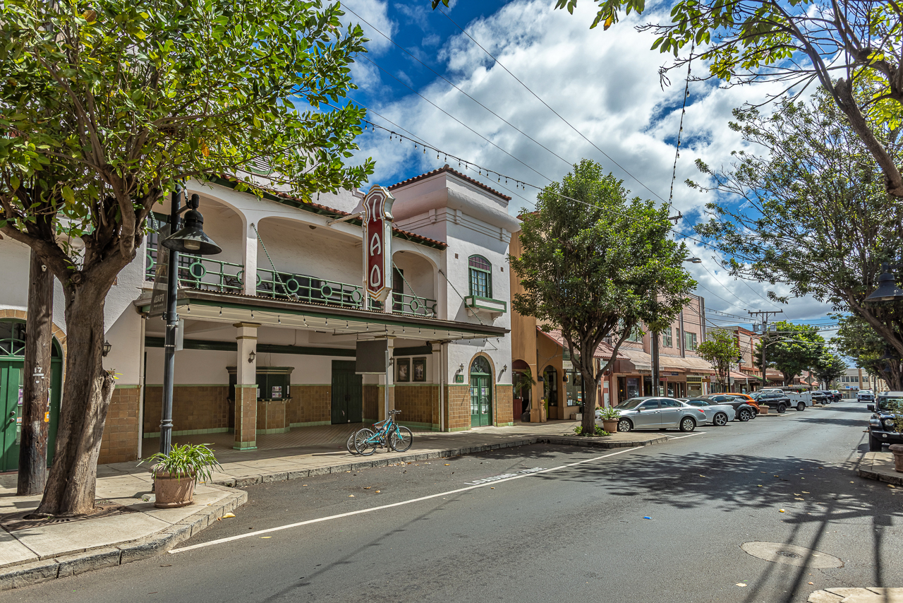 Live shows like Rocky Horror and Shrek: the Musical