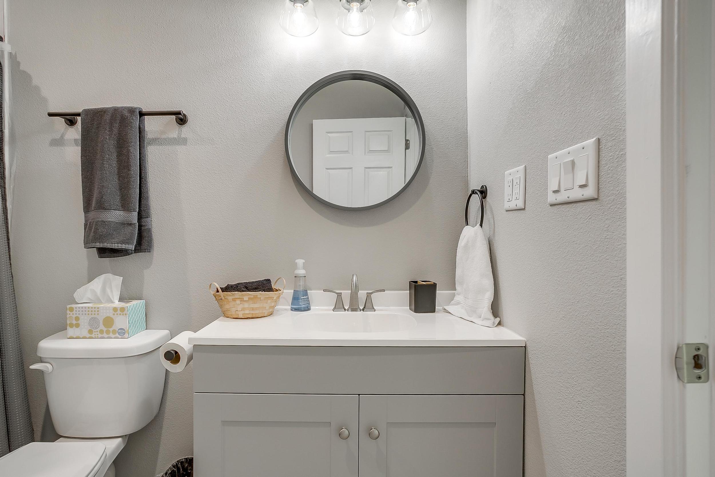 Main Hallway bath
