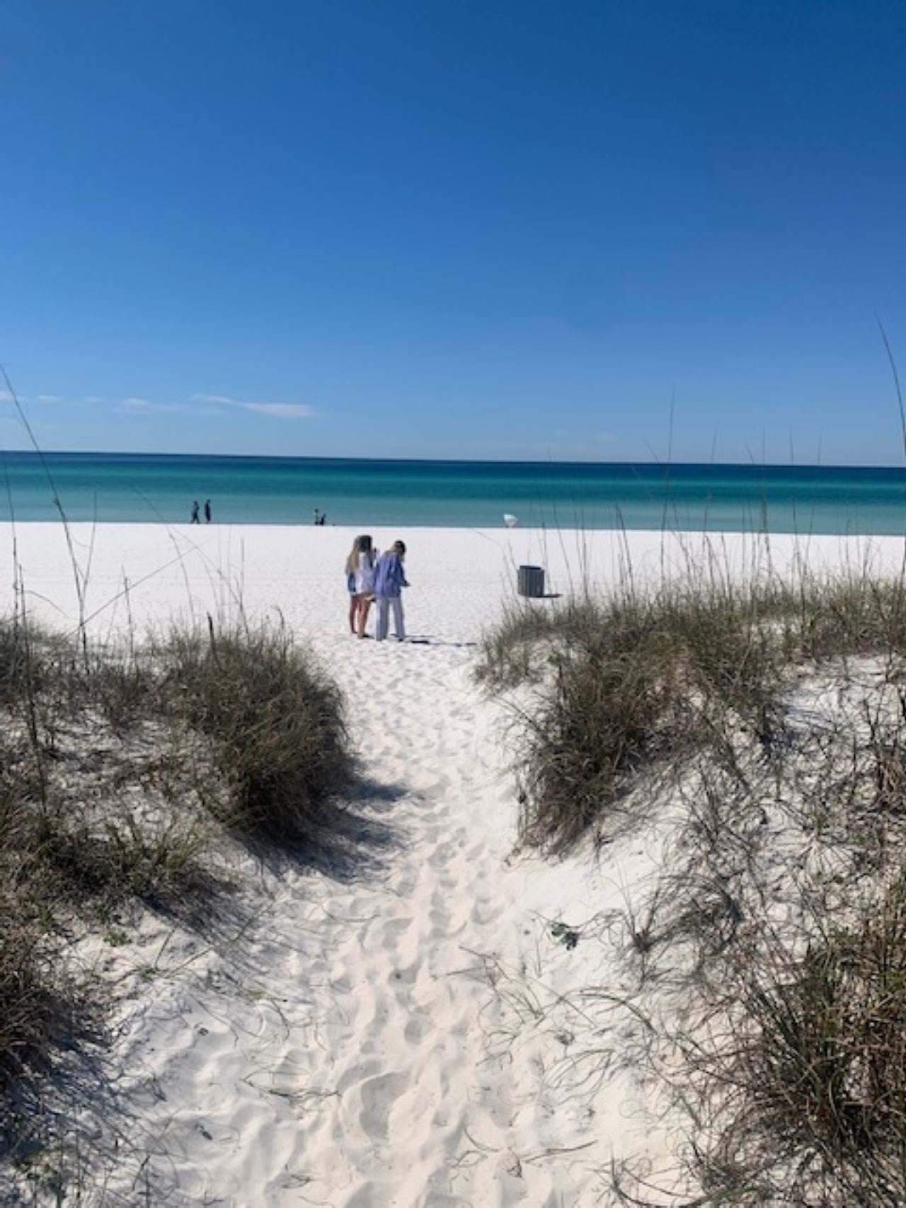 Path to the beach across dunes!