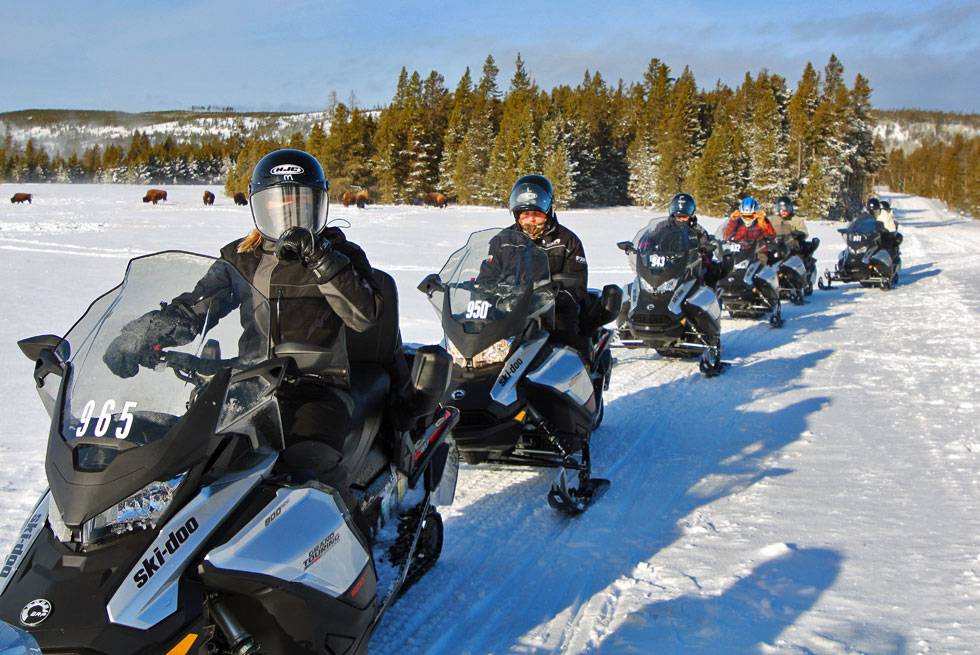 Ride through Yellowstone’s snowy landscapes and forest trails on a guided snowmobile adventure. After a thrilling day, return to the Lodge for warmth, space, and connection. It's the perfect home base for families and groups exploring in winter.