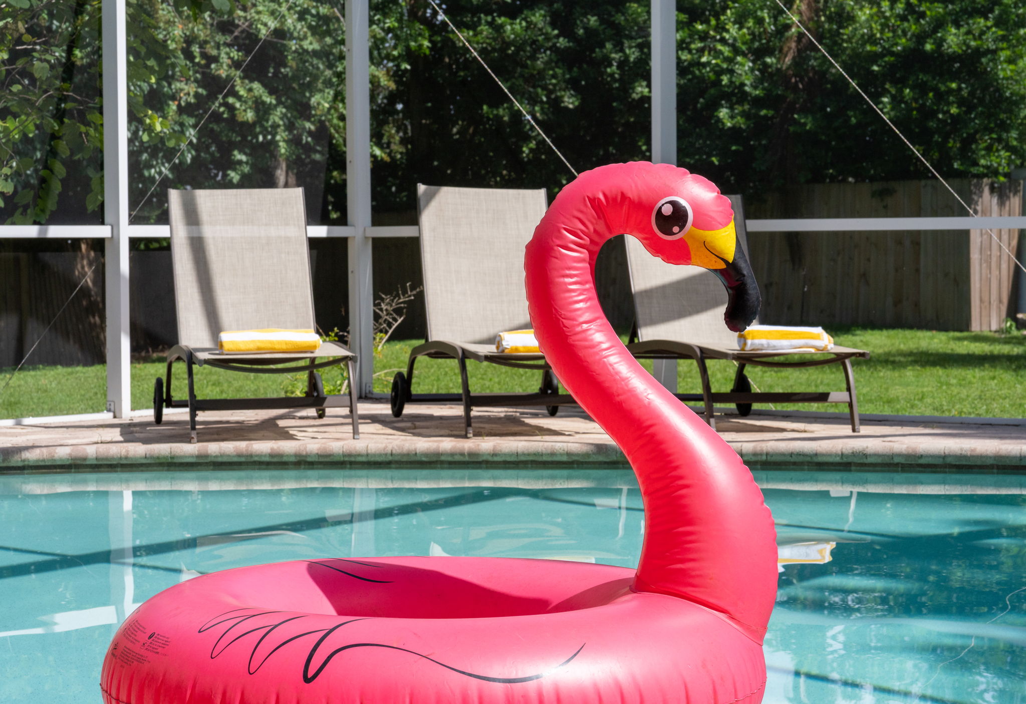 Fully screened enclosure keeps the pool area private and bug-free year-round.